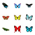 Realistic Lexias, Archippus, Morpho Hecuba And Other Vector Elements. Set Of Butterfly Realistic Symbols