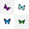 Realistic Lexias, Butterfly, Common Blue And Other Vector Elements. Set Of Butterfly Realistic Symbols Also Includes Royalty Free Stock Photo