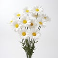 Realistic Lifelike White Daisy Bouquet On White Background