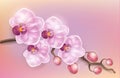 Realistic light purple vintage elegant orchid on a light background