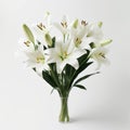 Realistic Lily Commercial Photography In High Detail