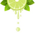 Realistic lime slice with juice drops. Juicy fruit. Fresh citrus on white vector illustration Royalty Free Stock Photo