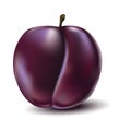 Realistic looking gradient mesh plum