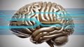 Human Brain With Electronic Circuits Showing Neural Network Activity Royalty Free Stock Photo