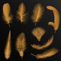 Realistic luxury golden tribal feathers set isolated on black. Royalty Free Stock Photo