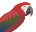 Realistic Macaw Cartoon Vector Illustration Royalty Free Stock Photo