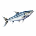 Realistic Mackerel Illustration In Light Silver And Indigo Royalty Free Stock Photo