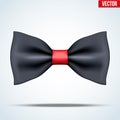 Realistic magic bow tie