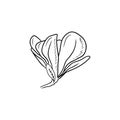 Realistic magnolia flower bud with leaf in black isolated on white background. Hand drawn vector sketch illustration in doodle Royalty Free Stock Photo