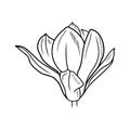 Realistic magnolia flower bud with leaf in black isolated on white background. Hand drawn vector sketch illustration in doodle Royalty Free Stock Photo