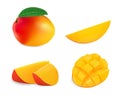 Realistic mango vector illustration set