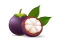 Realistic mangosteen on transparent background