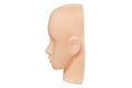 Realistic mannequin head Royalty Free Stock Photo