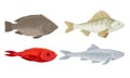 Realistic Marketable Fish Vector Set. Various Sorts of Fresh Fish Collection