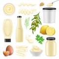 Realistic Mayonnaise Set