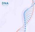 Realistic metal Vector DNA structure molecule helix, spiral on blure background