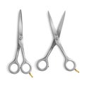 Realistic Metallic Scissors Set