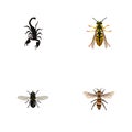 Realistic Midge, Bee, Wasp And Other Vector Elements. Set Of Bug Realistic Symbols Also Includes Insect, Scorpion