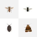 Realistic Midge, Butterfly, Wasp And Other Vector Elements. Set Of Bug Realistic Symbols Also Includes Housefly