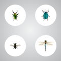 Realistic Midge, Insect, Damselfly And Other Vector Elements. Set Of Insect Realistic Symbols Also Includes Insect