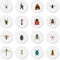 Realistic Midge, Wasp, Insect And Other Vector Elements. Set Of Bug Realistic Symbols Also Includes Midge, Pismire
