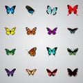 Realistic Milkweed, Morpho Hecuba, Polyommatus Icarus And Other Vector Elements. Set Of Moth Realistic Symbols Also
