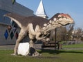 Realistic model of a Allosaurus. Dinosaur park Belgorod , Russia - NOV, 15, 2018 Royalty Free Stock Photo