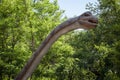 Realistic model of dinosaur