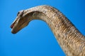 Realistic model of a Diplodocus dinosaur