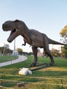 Realistic model of a tyrannosaur in the original growth. Park with sculptures of giant dinosaurs Royalty Free Stock Photo