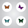 Realistic Monarch, Butterfly, Pipevine And Other Vector Elements. Set Of Moth Realistic Symbols Also Includes Orange