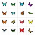 Realistic Monarch, Butterfly, Tropical Moth And Other Vector Elements. Set Of Moth Realistic Symbols Also Includes