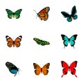Realistic Monarch, Copper, Danaus Plexippus And Other Vector Elements. Set Of Beauty Realistic Symbols Royalty Free Stock Photo