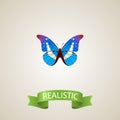 Realistic Morpho Aega Element. Vector Illustration Of Realistic Bluewing Isolated On Clean Background. Can Be Used As