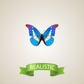 Realistic Morpho Aega Element. Vector Illustration Of Realistic Bluewing Isolated On Clean Background. Can Be Used As Royalty Free Stock Photo