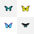Realistic Morpho Hecuba, Archippus, Bluewing And Other Vector Elements. Set Of Butterfly Realistic Symbols Also Includes Royalty Free Stock Photo