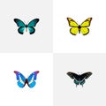 Realistic Morpho Hecuba, Archippus, Bluewing And Other Vector Elements. Set Of Butterfly Realistic Symbols Also Includes