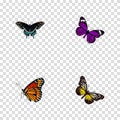 Realistic Morpho Hecuba, Summer Insect, Butterfly And Other Vector Elements. Set Of Moth Realistic Symbols Also Includes