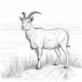 Realistic Mountain Goat Drawing Rtx On, Crisp Outlines, Scientific Illustrations