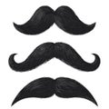 Realistic moustaches. Black mustache facial hair style, barbershop gentleman hipster fashion, fathers day decorative Royalty Free Stock Photo