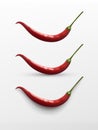 Realistic natural red hot chilli pepper