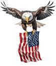 Realistic North American Bald Eagle holding American flag Royalty Free Stock Photo