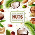 Realistic Nuts Frame Royalty Free Stock Photo