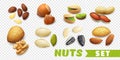 Realistic Nuts Set