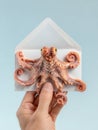 Realistic Octopus Holding an Envelope in a Minimalist Setting for Communication and Creativity Royalty Free Stock Photo