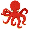 Realistic octopus in red on a white. Undersea world