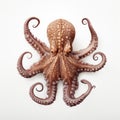 Realistic Octopus Sculpture On White Background - National Geographic Style