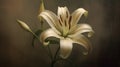 Realistic Oil Painting Of White Lily On Dark Background In Sepia Tone Royalty Free Stock Photo