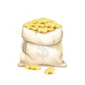 A realistic old bag with heap of gold coins isolated on white background. Pile of golden coins. A bag with dollar sign Royalty Free Stock Photo