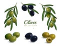 Realistic Olives Branches Set Royalty Free Stock Photo